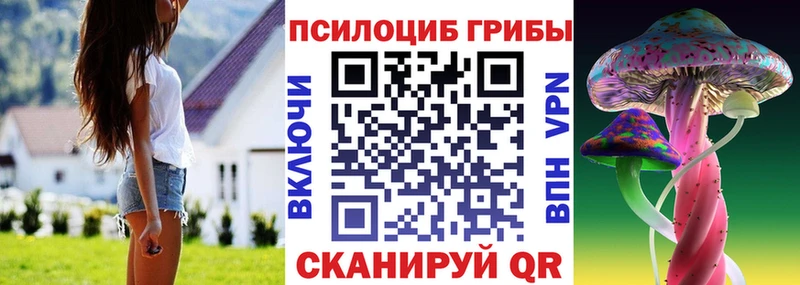 Псилоцибиновые грибы прущие грибы  купить   Киренск 